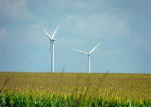 Wind turbines near Ames, Iowa.