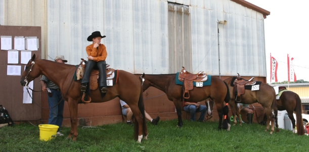 Horse parking. Contestant waits his turn in the ring during a 4-H horse show.